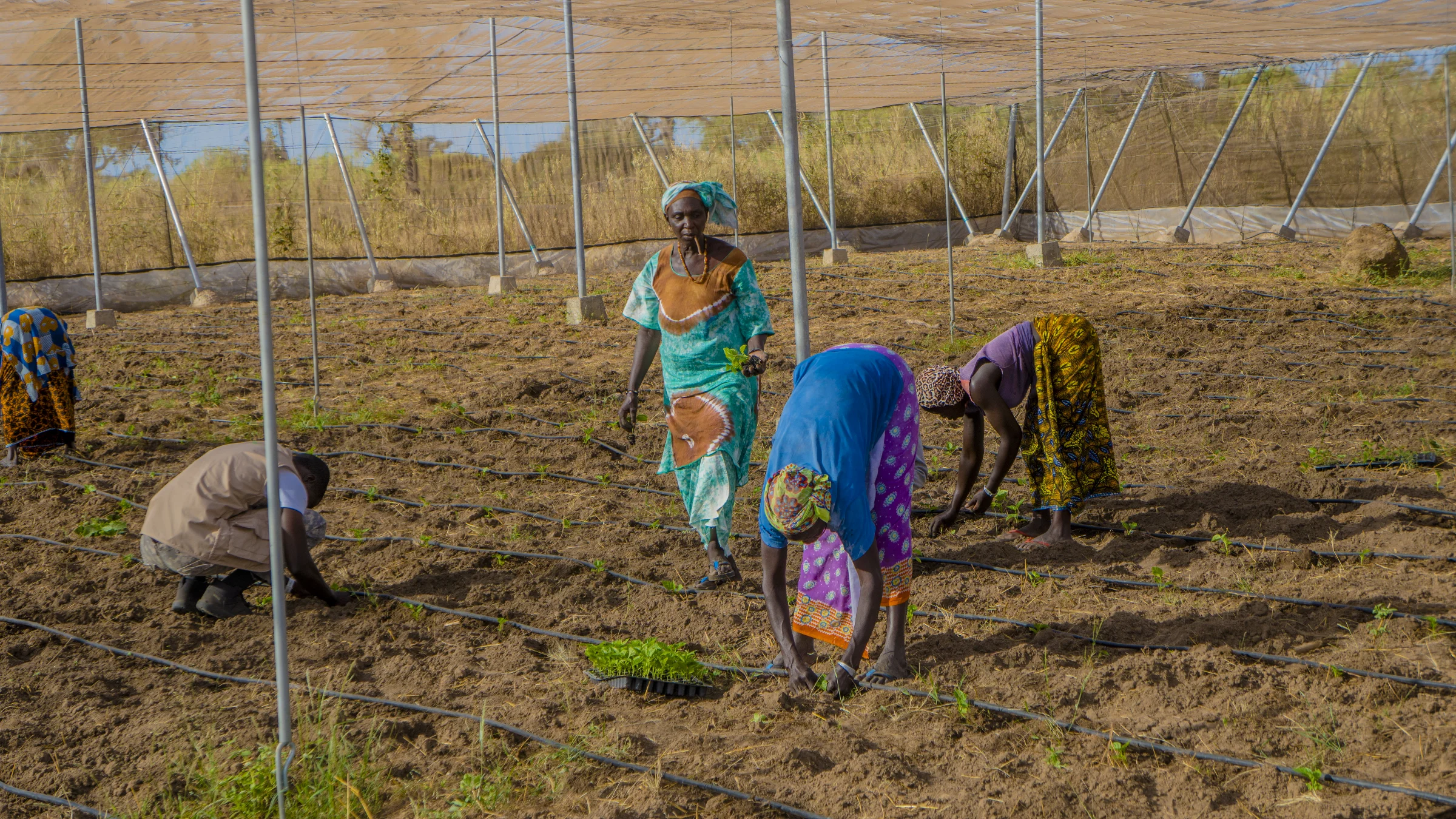 Baykat & Business activité agricole