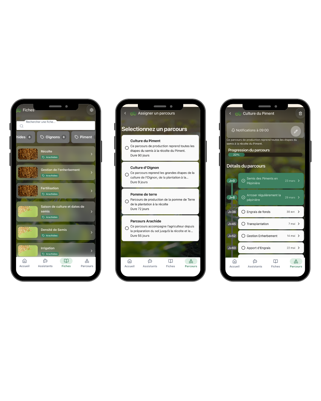Interface de l'application eBaykat