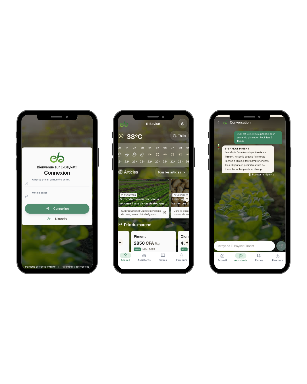 Interface eBaykat — vue 2